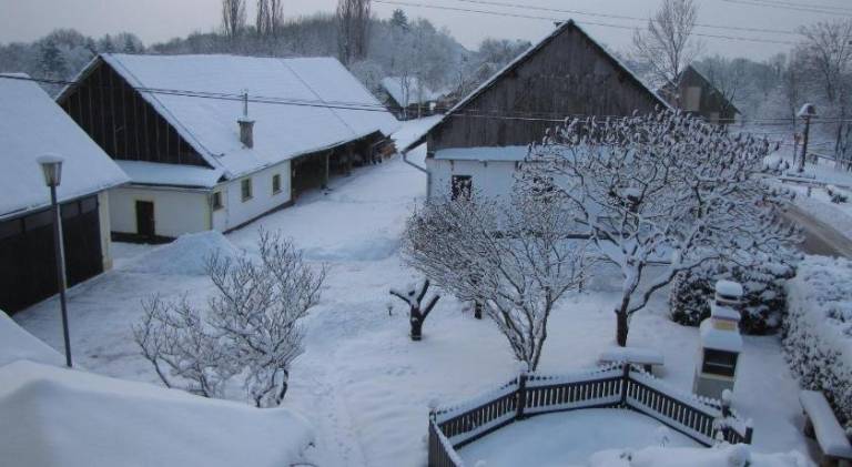 Apartma Sveta Ana v Slovenskih goricah