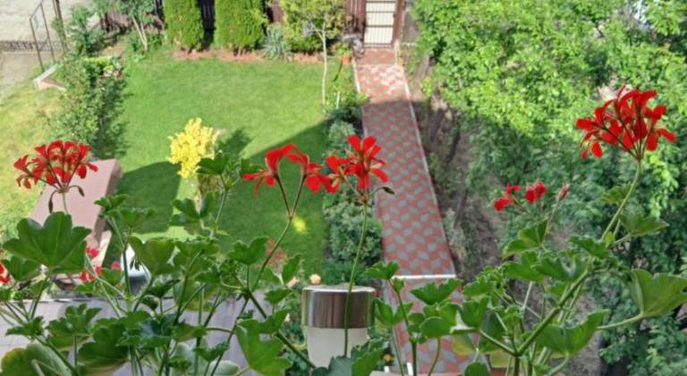 foto17
