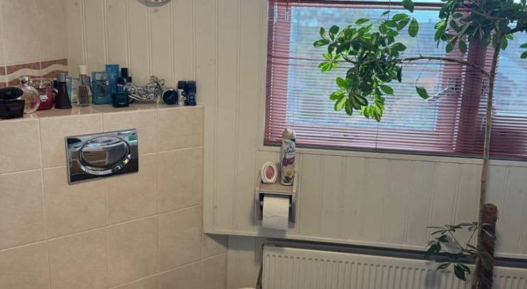 foto33
