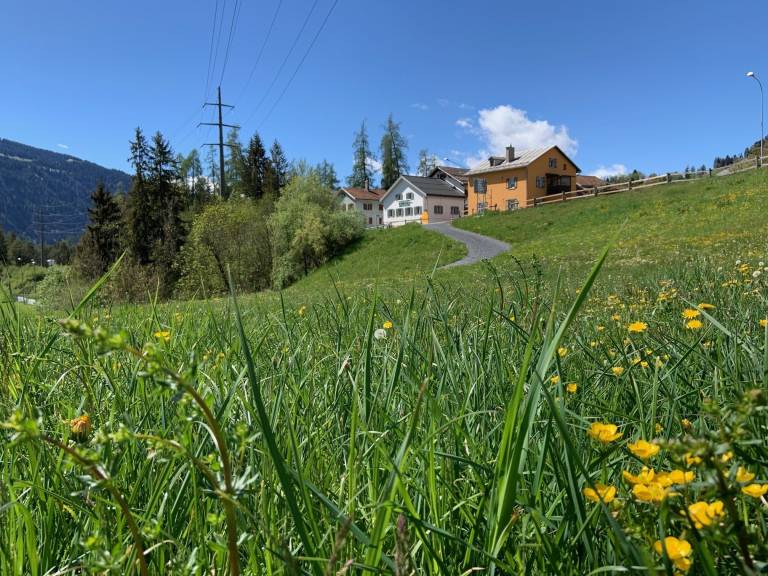 Ferienhaus Laax