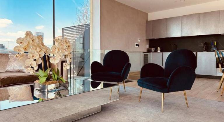3 Bed Penthouse Hoxton Square london with Terrace — photo 3