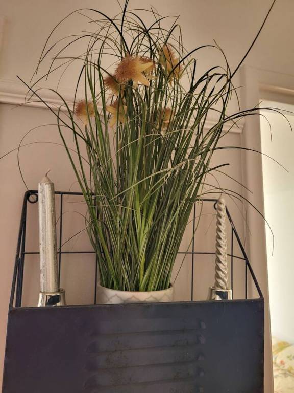 foto15