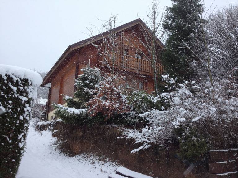 Chalet Sarreinsming