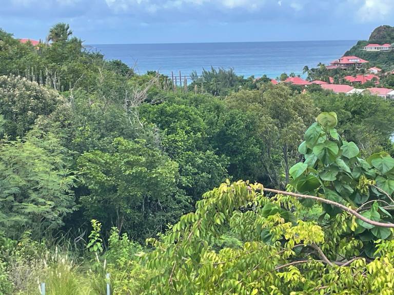 Maison de vacances  Saint-Barthélemy
