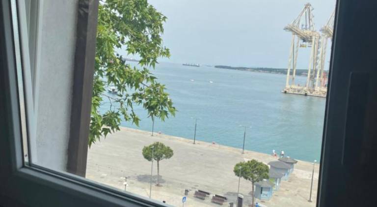 Apartma Triban