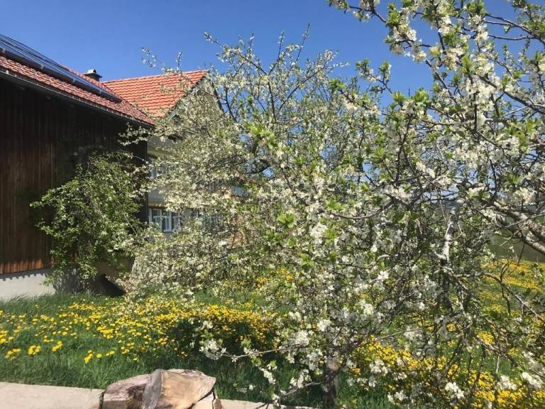 foto17