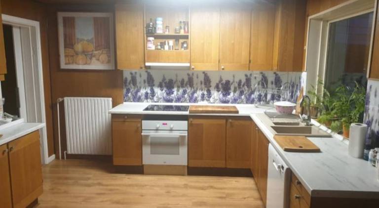 Vacation home | Pet-friendly in Vejle