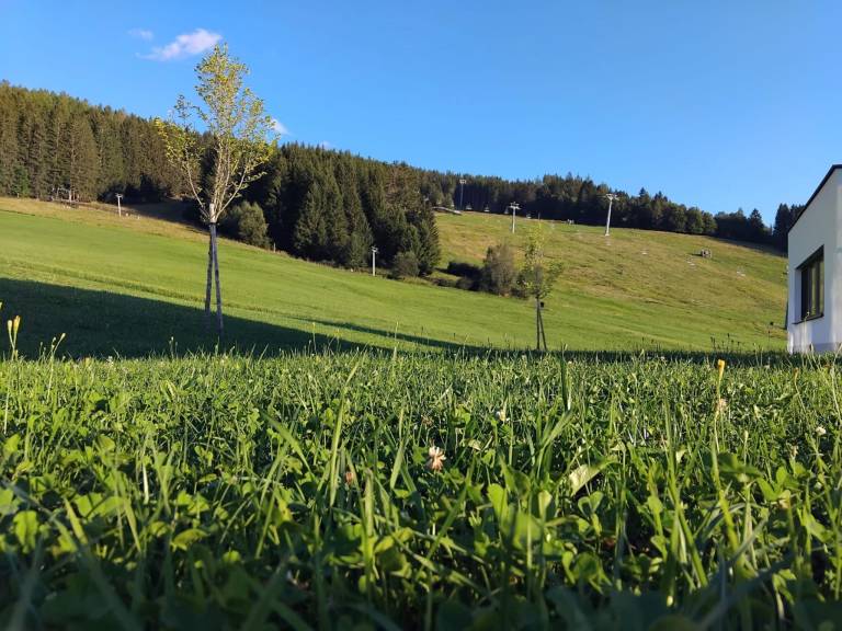 foto34