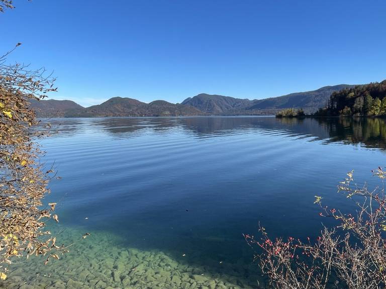 foto7