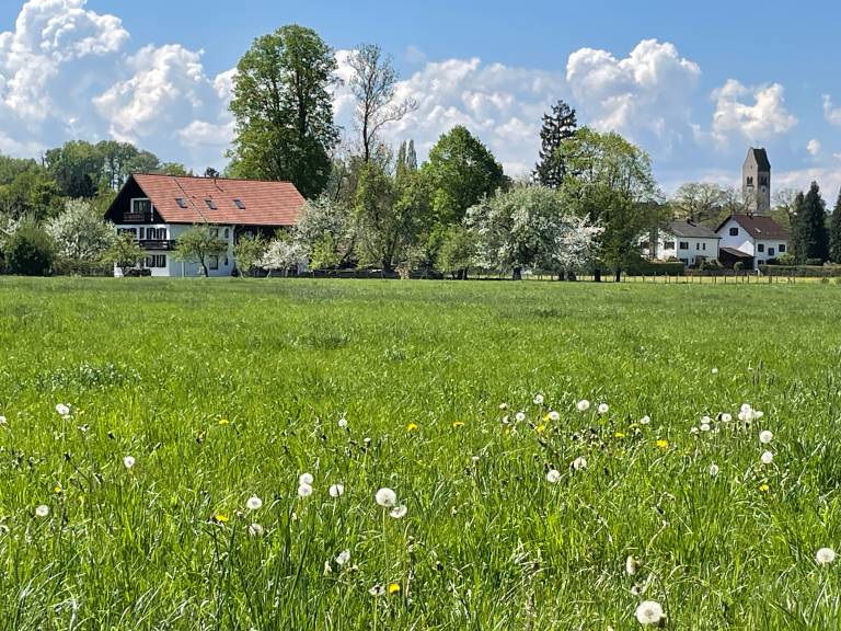 Ferienwohnung  Seeshaupt