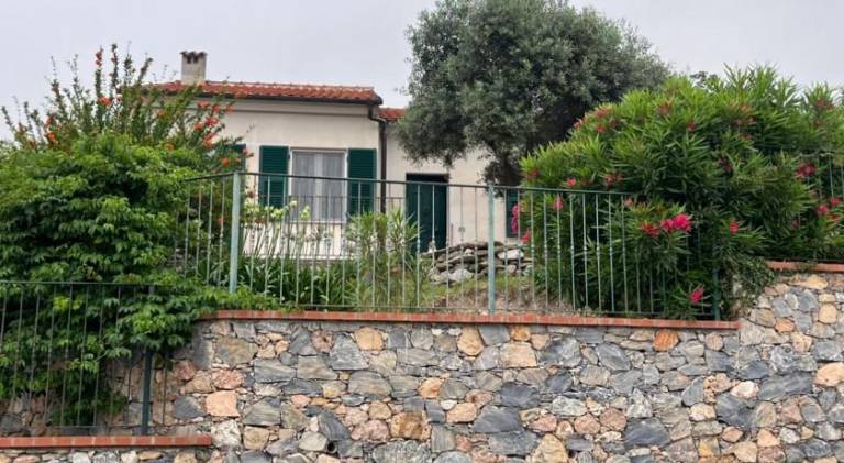 Pleasant apartment | Pets are welcome in Nova Ponente
