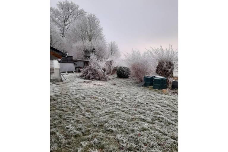foto10