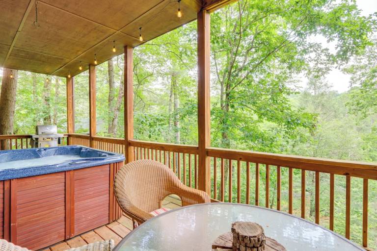 Cottage Ellijay