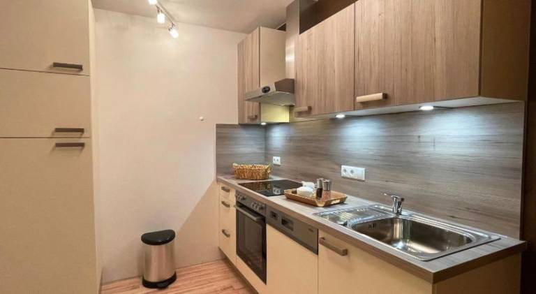 Apartment with terrace — photo 2
