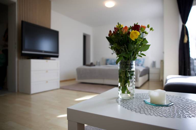 Modern Accommodation in Leutkirch with Mountain View, Wi-Fi & Balcony — photo 4