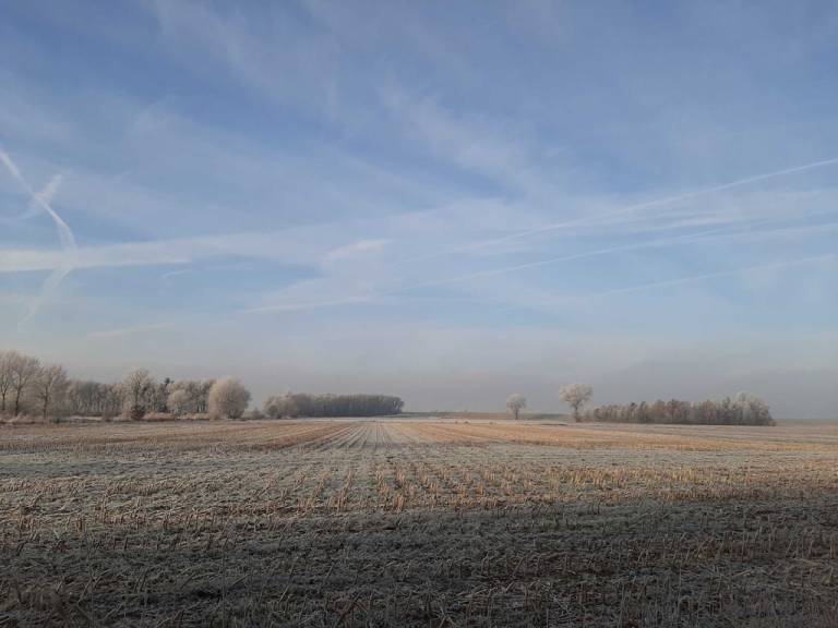 foto14