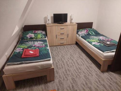 Apartmán Rokytnice v Orlických horách