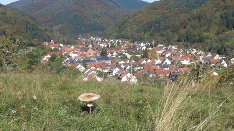 foto3