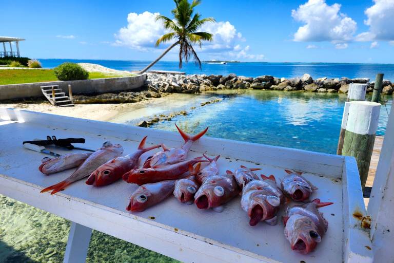 Cottage  Great Guana Cay