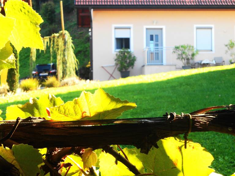 Ferienwohnung Seggauberg