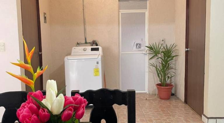 Lovely holiday apartment | Pets allowed in Oaxaca
