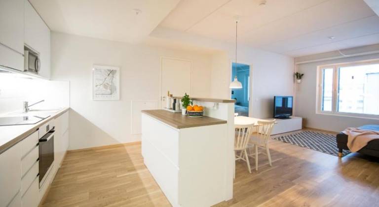 Rental apartment | Close to Arktikum Science Museum | Beach nearby | Pet-friendly — photo 2