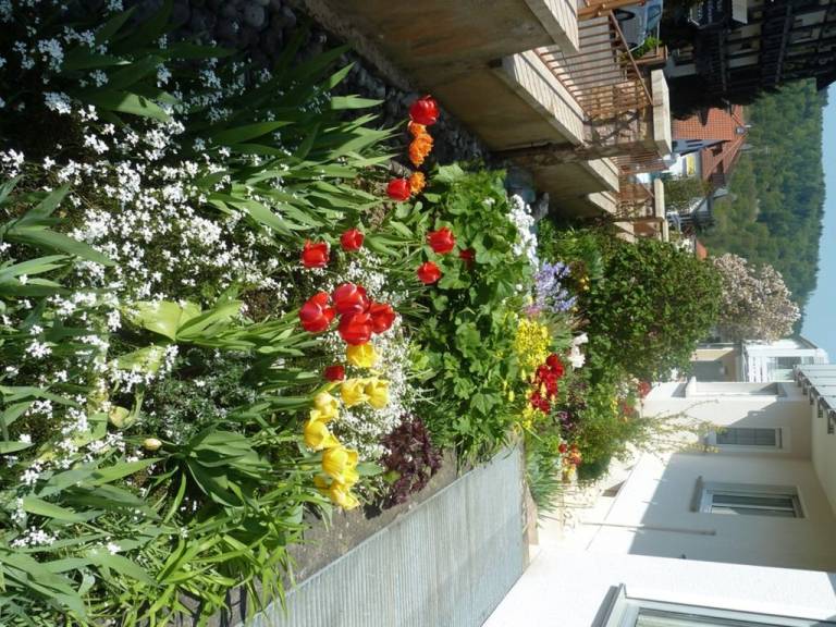 foto8