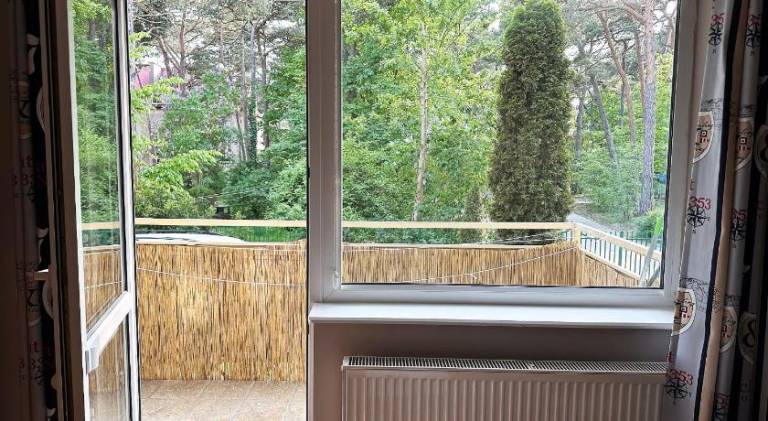 Charming holiday apartment | Dogs allowed — photo 4
