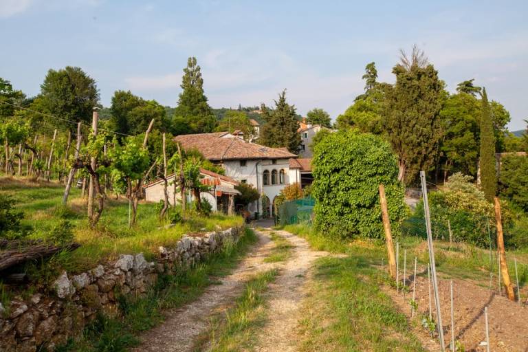 Fattoria le Vegre: Camera Tai Rosso — photo 5