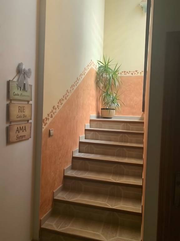 foto19