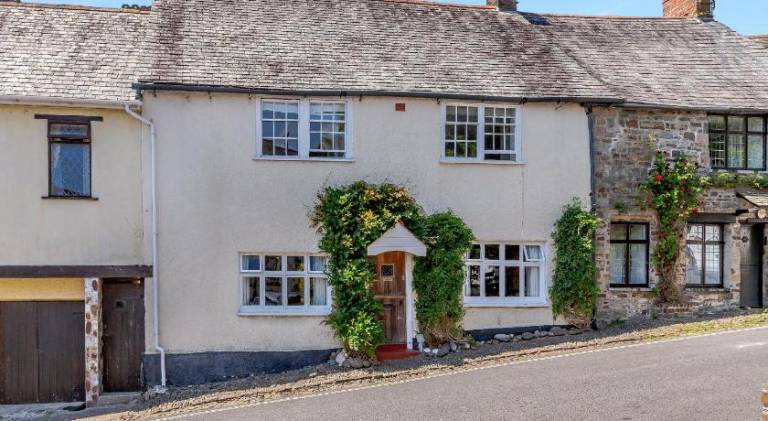 House | Pets are welcome in Bude
