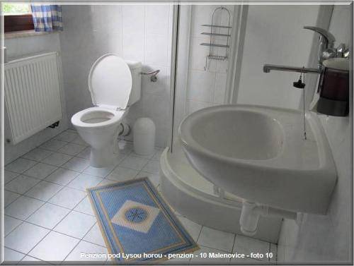 Apartmán Frýdek-Místek