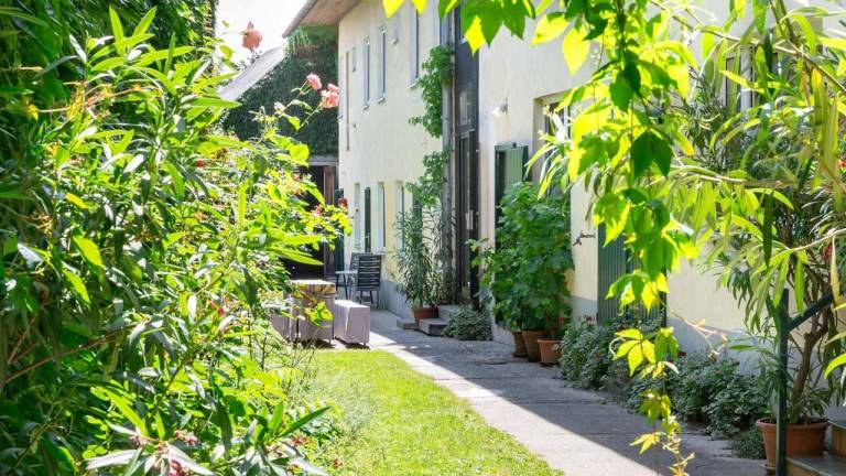 Ferienwohnung Podersdorf am See