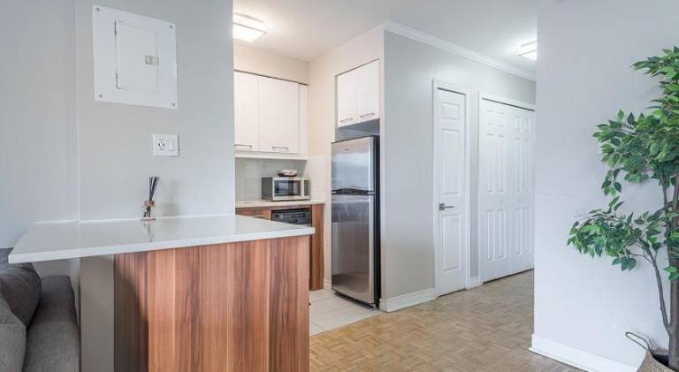 Outstanding 1BR in Heart of Downtown Montreal — photo 5