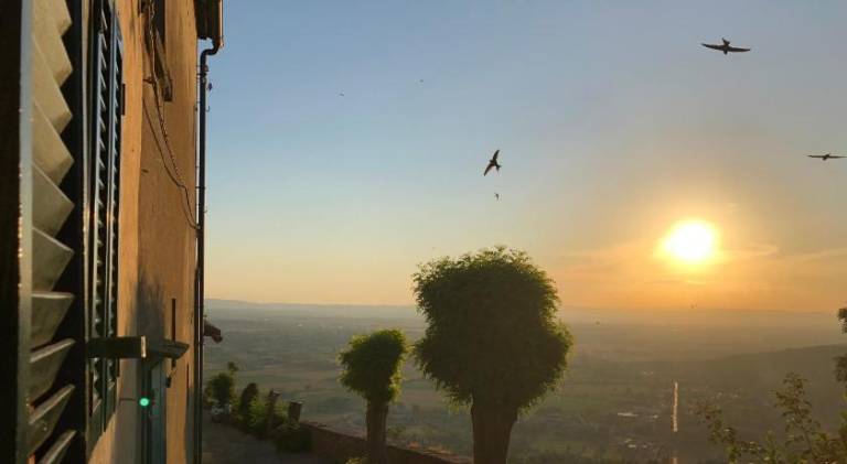 Una pausa te per l'anima - Casa Vacanza in Cortona
