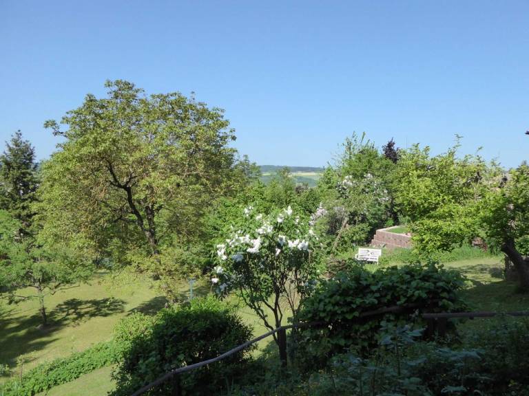 foto18