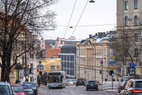 Apartment Naujamiestis, Vilnius
