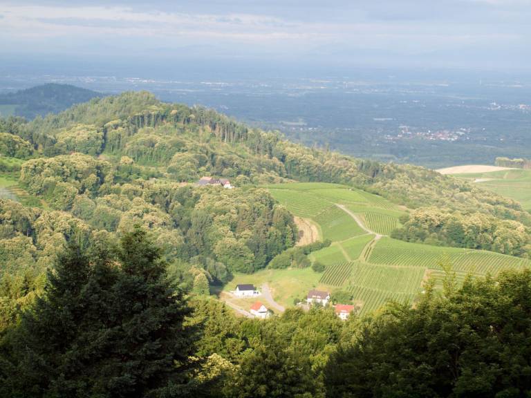 foto12