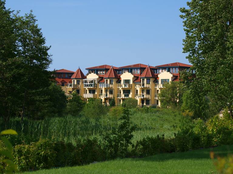foto1