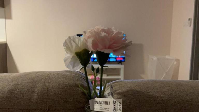 foto21