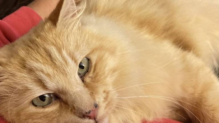 Ferienwohnung Memmingen