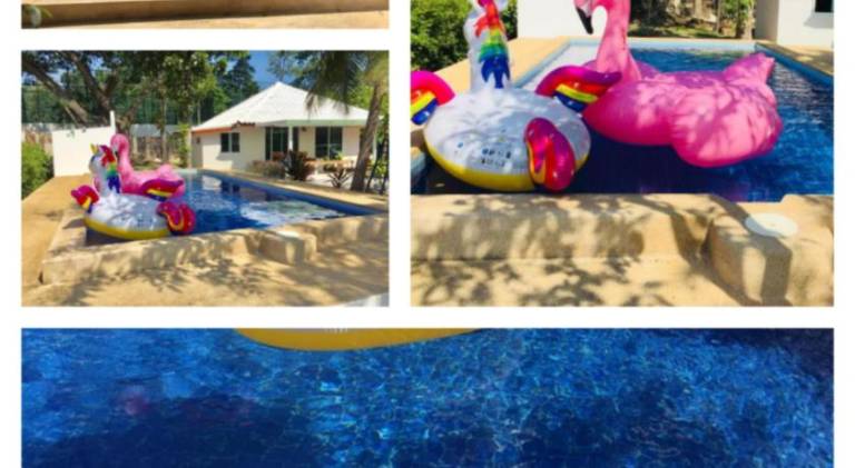 Villa with pool | Beach nearby | Dogs allowed — photo 4