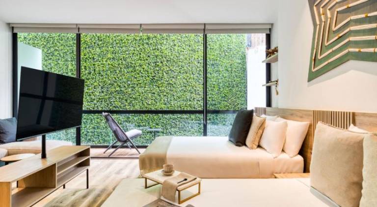 Serviced apartment with patio & hot tub in Mexico City