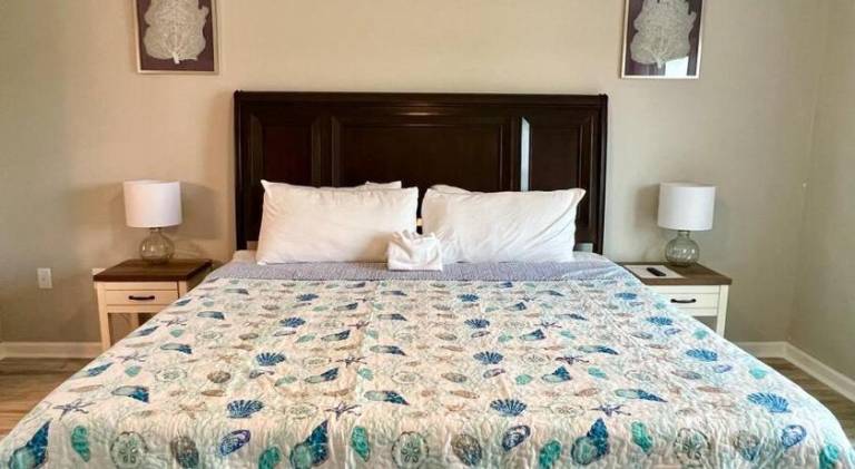 Wonderful rental apartment | Dogs allowed — photo 3
