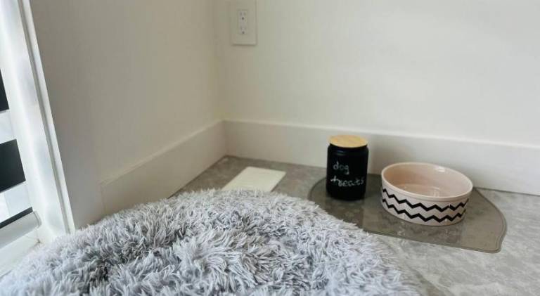Cozy 2 bedroom suite Pet Friendly Heated Garage — photo 2