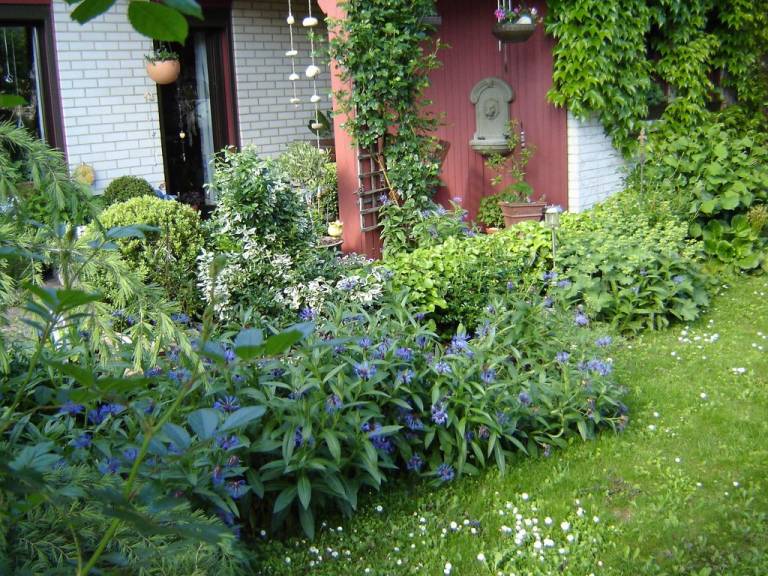 foto19