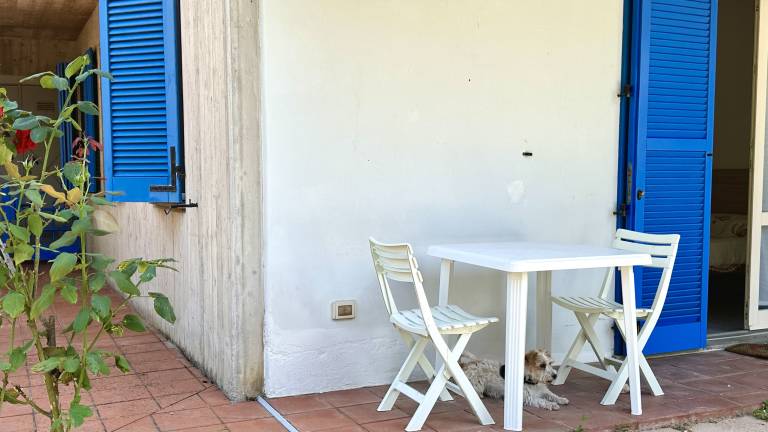 Apartment with garden — photo 2