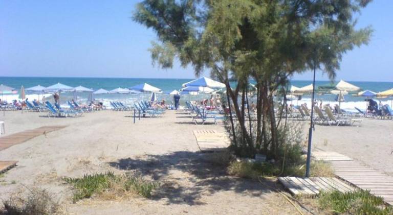 Rental apartment | Beach nearby | Dogs allowed — photo 4
