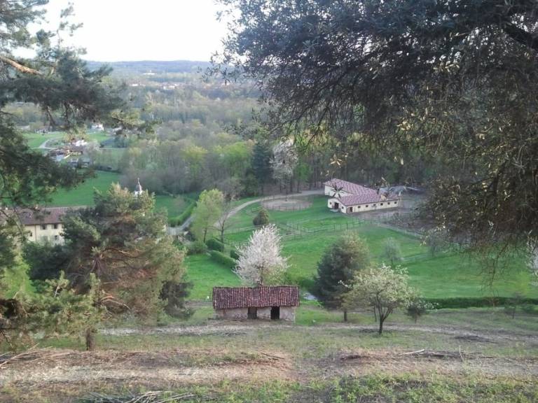 foto14