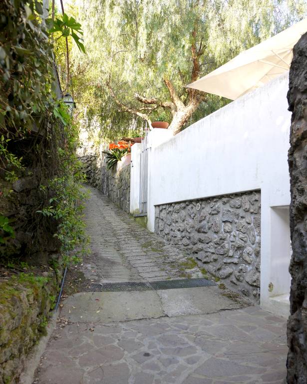 Villa with barbeque, patio & yard | Panoramic view — photo 3